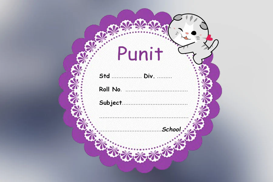 Customised Hello Kitty  Name Slip | 12x18" Sheet with 36 Labels