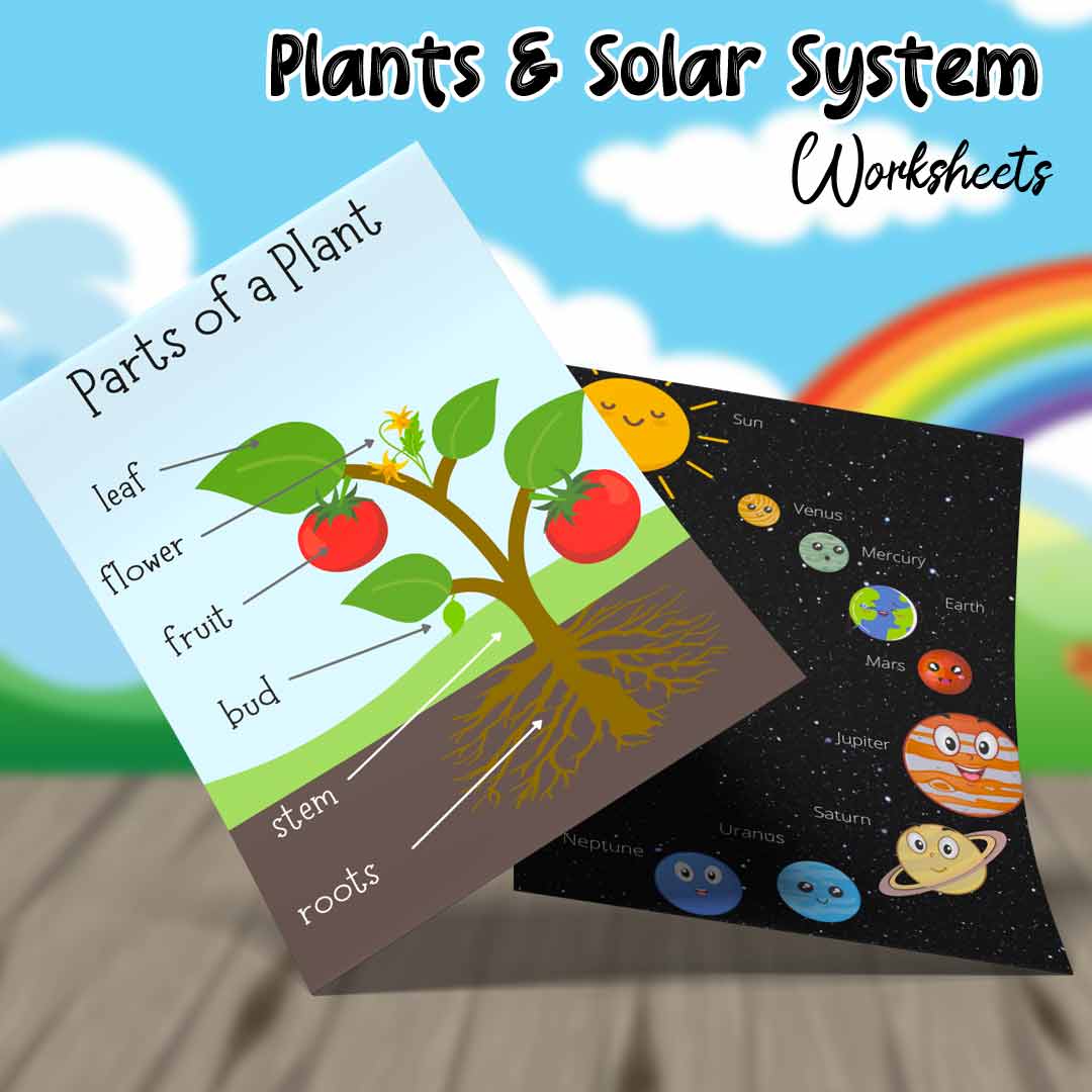 Online Worksheet For Kids Early Learning- Brain & Fun Activities Bundle (3 to 8 years) - Image 26