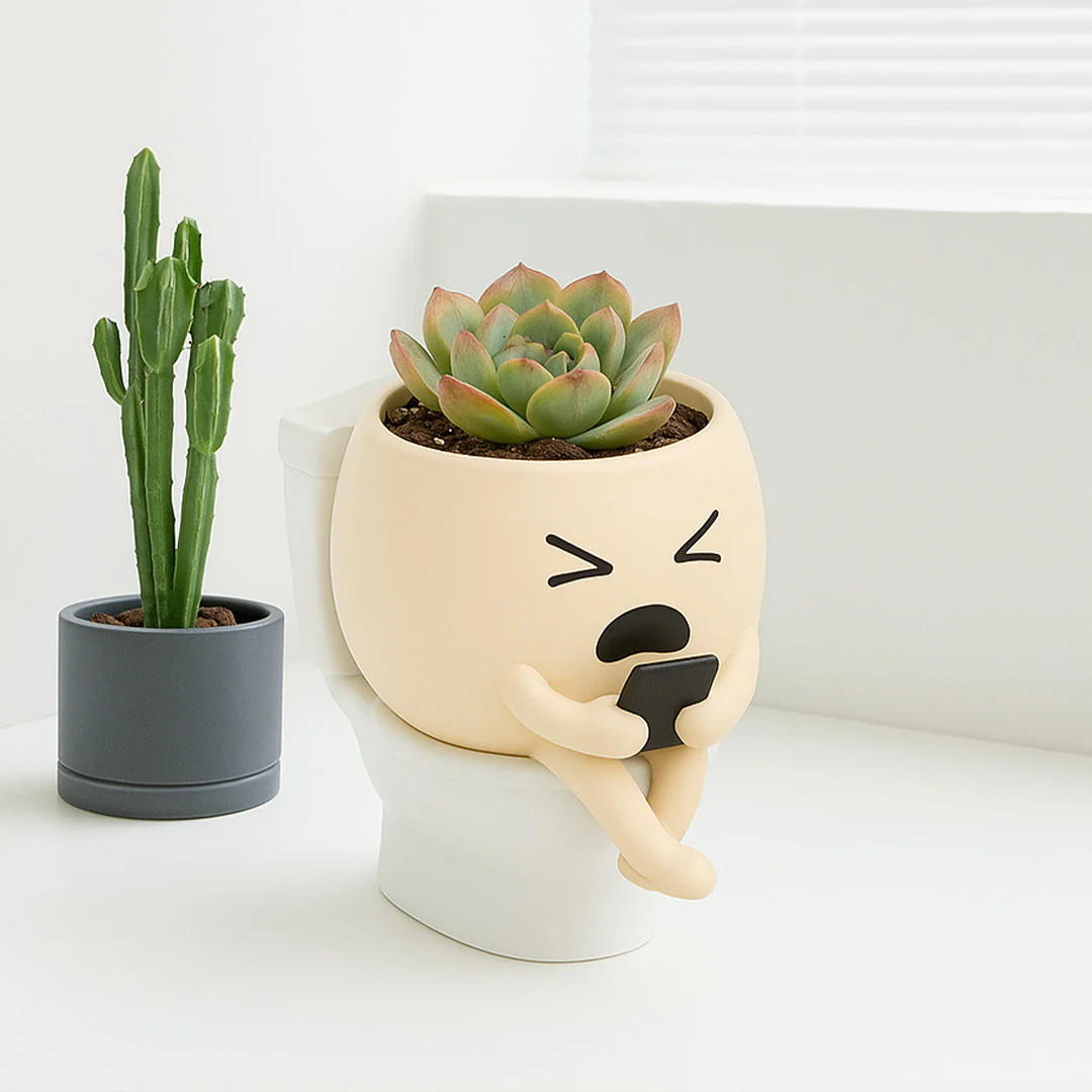 Silly Face Planter